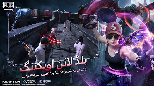 اسکرین شاٹ کی تصویر