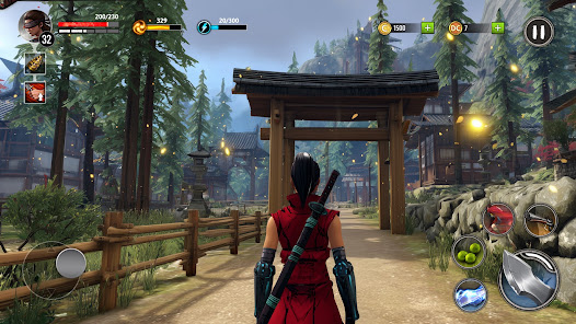 Screenshot image