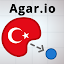 Küçük resim